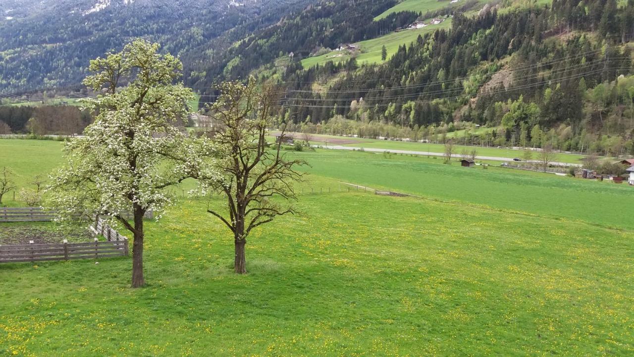 Nagelehof 2